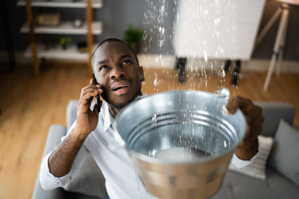 Best Water damage cleanup near me  in Orchard Mesa, CO