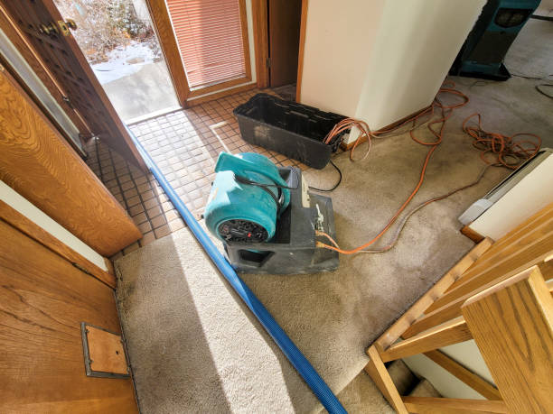 Best Commercial water damage restoration  in Orchard Mesa, CO