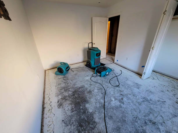 Best Emergency water damage restoration  in Orchard Mesa, CO