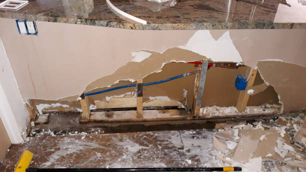 Best Professional water damage repair  in Orchard Mesa, CO