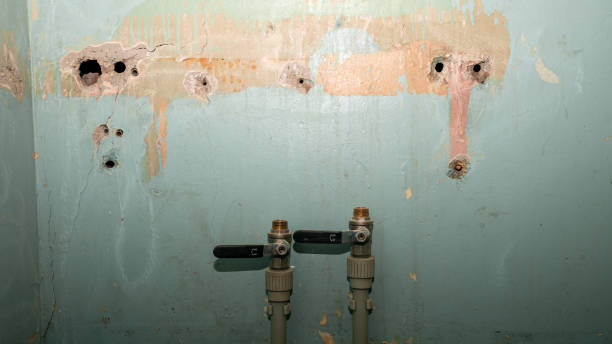 Best Water damage restoration near me  in Orchard Mesa, CO