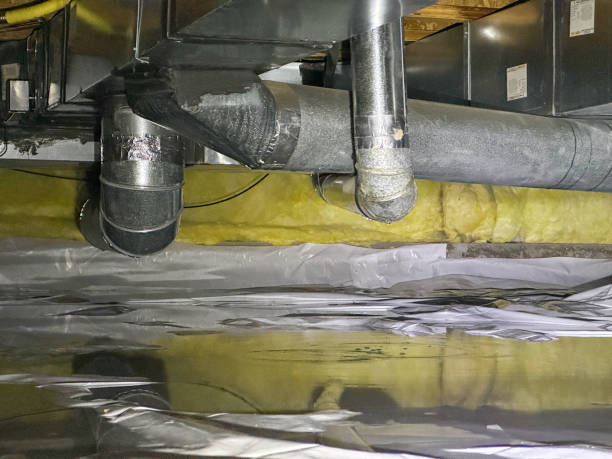 Best Sewage cleanup and water damage restoration  in Orchard Mesa, CO