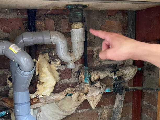 Best Basement water damage restoration  in Orchard Mesa, CO