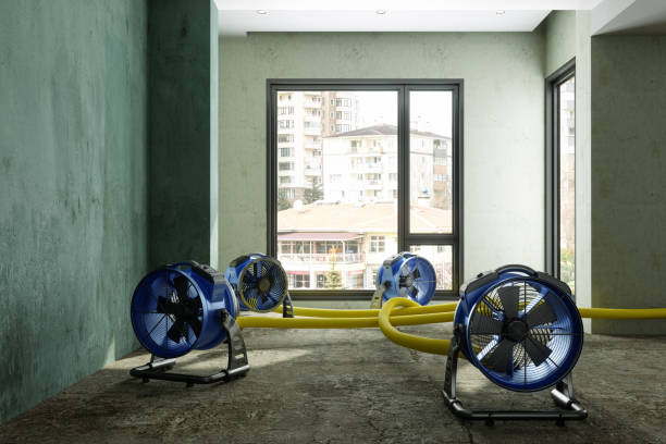 Best Residential water damage restoration  in Orchard Mesa, CO