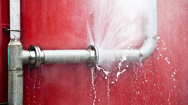 Best Sewage cleanup and water damage restoration  in Orchard Mesa, CO